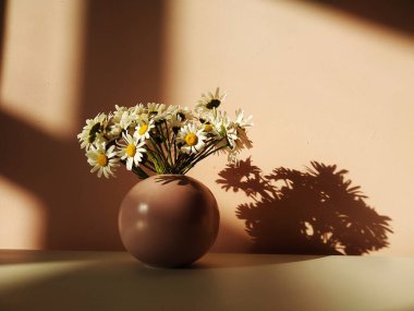 Gün batımında beyaz bir masada, yuvarlak pembe bir vazoda bir buket beyaz papatya..