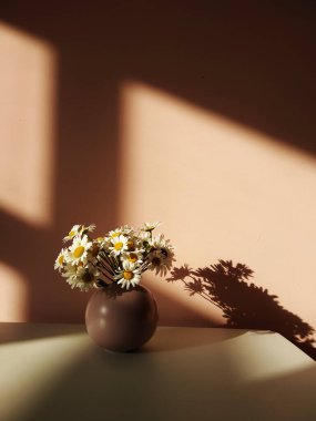 Gün batımında beyaz bir masada, yuvarlak pembe bir vazoda bir buket beyaz papatya..