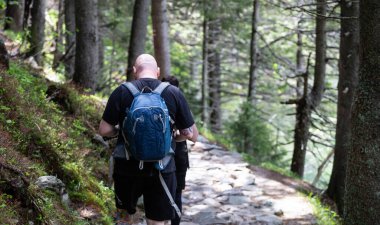 Orman yolunda yürüyen bir adam. Yürüyüş kavramı.