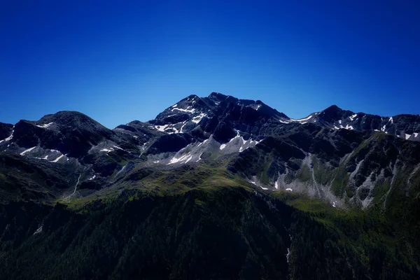 Alpen Bergwiese ruhiger Sommerblick. Landschaft mit Nebel in Bergen und Baumreihen — Stockfoto