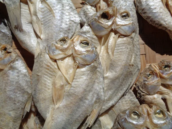 Proces Suszenia Solonych Ryb Naturalnym Tłem Surowa Ryba Indonezyjski Jawajski — Zdjęcie stockowe