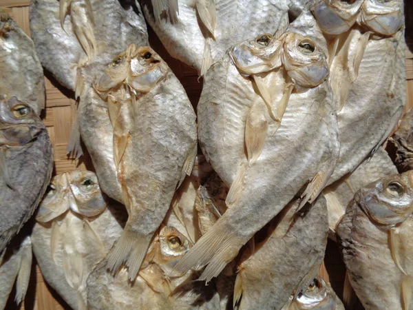 Proces Suszenia Solonych Ryb Naturalnym Tłem Surowa Ryba Indonezyjski Jawajski — Zdjęcie stockowe