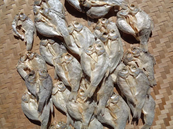 Processus Séchage Poisson Salé Avec Fond Naturel Poisson Cru Indonésien — Photo