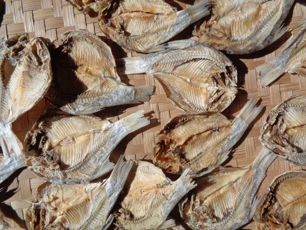 Salted fish drying process with a natural background. Raw fish. Indonesian (Javanese) called ikan balur. It is a traditional famous side dish in Indonesia.