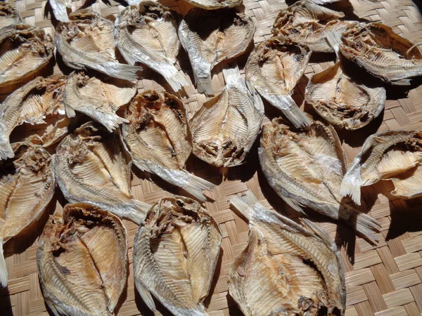 Saltad Fisk Torkning Process Med Naturlig Bakgrund Fisk Indonesiska Javanesiska — Stockfoto