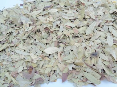 Kurutulmuş Senna Alexandrina (ayrıca daun jati tiongkok, daun jati china olarak da bilinir) beyaz arka planla ayrılmaktadır. Bu yapraklar genellikle bitki çayı olarak kullanılır. Bu çay ferahlatıcı ve özel bir kokusu var..