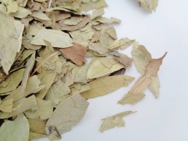 Kurutulmuş Senna Alexandrina (ayrıca daun jati tiongkok, daun jati china olarak da bilinir) beyaz arka planla ayrılmaktadır. Bu yapraklar genellikle bitki çayı olarak kullanılır. Bu çay ferahlatıcı ve özel bir kokusu var..