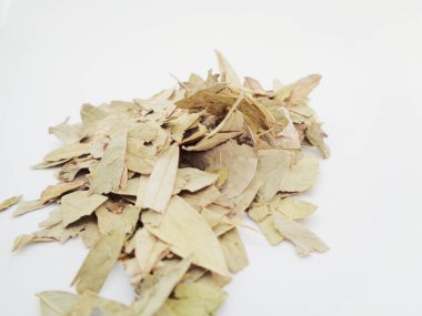 Kurutulmuş Senna Alexandrina (ayrıca daun jati tiongkok, daun jati china olarak da bilinir) beyaz arka planla ayrılmaktadır. Bu yapraklar genellikle bitki çayı olarak kullanılır. Bu çay ferahlatıcı ve özel bir kokusu var..