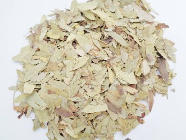 Kurutulmuş Senna Alexandrina (ayrıca daun jati tiongkok, daun jati china olarak da bilinir) beyaz arka planla ayrılmaktadır. Bu yapraklar genellikle bitki çayı olarak kullanılır. Bu çay ferahlatıcı ve özel bir kokusu var..