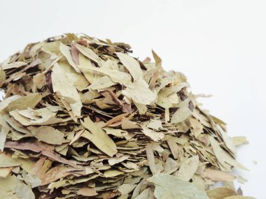 Kurutulmuş Senna Alexandrina (ayrıca daun jati tiongkok, daun jati china olarak da bilinir) beyaz arka planla ayrılmaktadır. Bu yapraklar genellikle bitki çayı olarak kullanılır. Bu çay ferahlatıcı ve özel bir kokusu var..