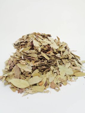 Kurutulmuş Senna Alexandrina (ayrıca daun jati tiongkok, daun jati china olarak da bilinir) beyaz arka planla ayrılmaktadır. Bu yapraklar genellikle bitki çayı olarak kullanılır. Bu çay ferahlatıcı ve özel bir kokusu var..