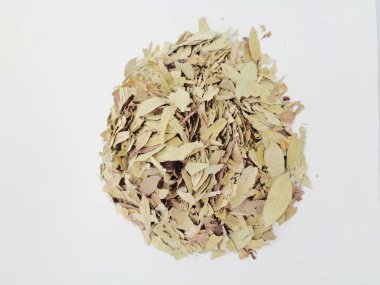 Kurutulmuş Senna Alexandrina (ayrıca daun jati tiongkok, daun jati china olarak da bilinir) beyaz arka planla ayrılmaktadır. Bu yapraklar genellikle bitki çayı olarak kullanılır. Bu çay ferahlatıcı ve özel bir kokusu var..