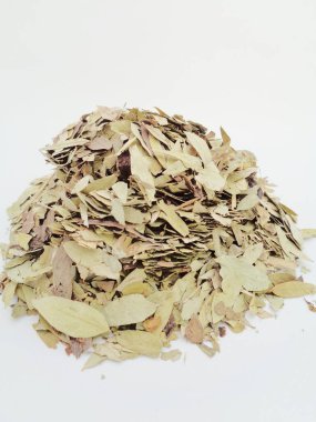 Kurutulmuş Senna Alexandrina (ayrıca daun jati tiongkok, daun jati china olarak da bilinir) beyaz arka planla ayrılmaktadır. Bu yapraklar genellikle bitki çayı olarak kullanılır. Bu çay ferahlatıcı ve özel bir kokusu var..