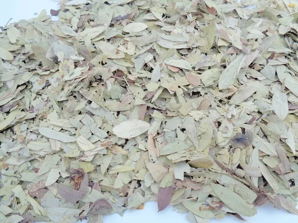 Αποξηραμένα Φύλλα Senna Alexandrina Που Ονομάζεται Επίσης Daun Jati Tiongkok — Φωτογραφία Αρχείου
