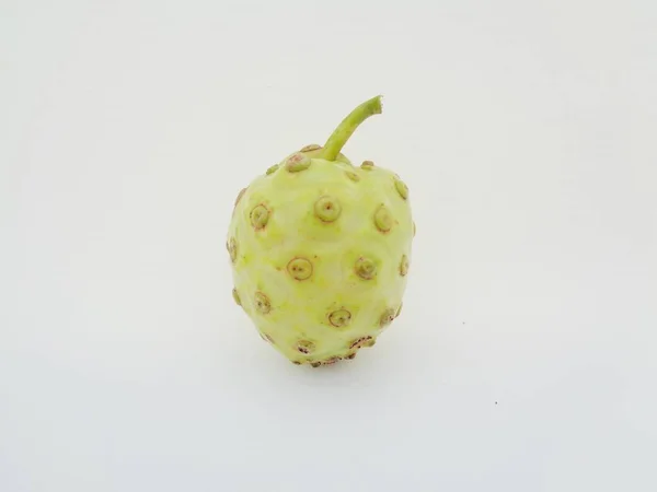 Morinda Citrifolia Große Morinda Indische Maulbeere Noni Strand Maulbeere Käsefrucht — Stockfoto