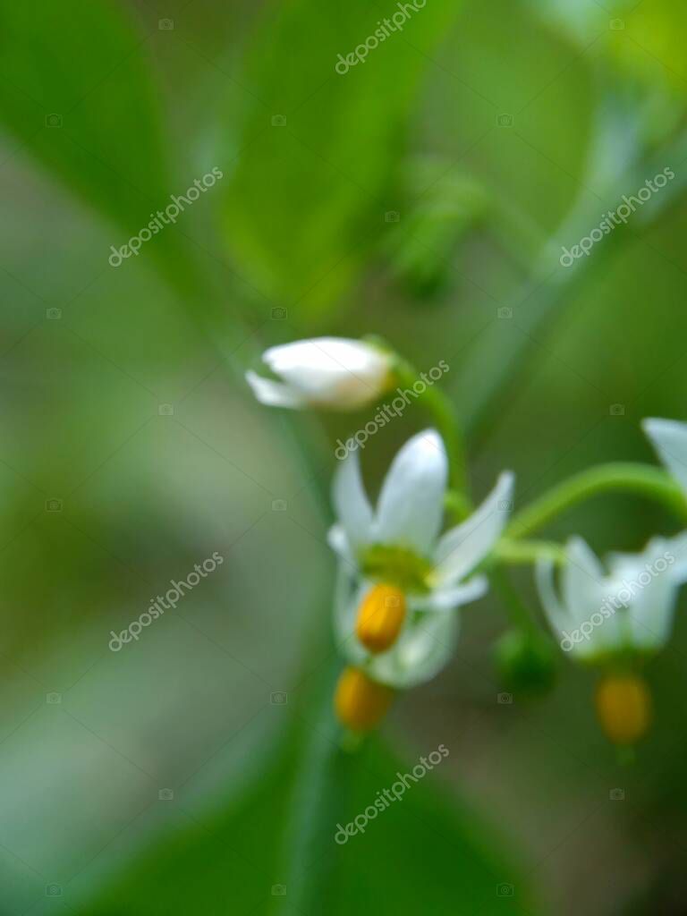 mangkelin1
