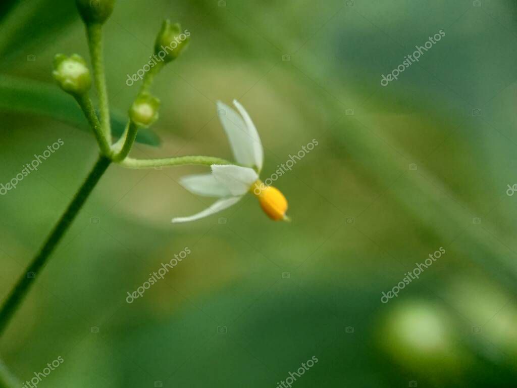 mangkelin1