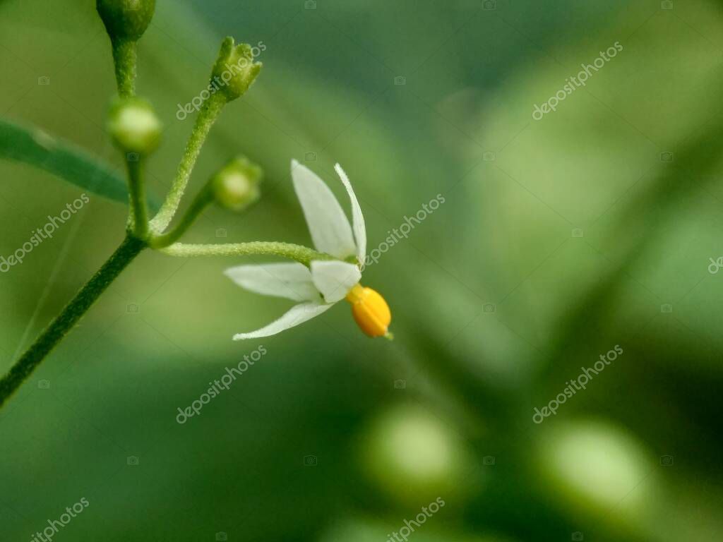 mangkelin1