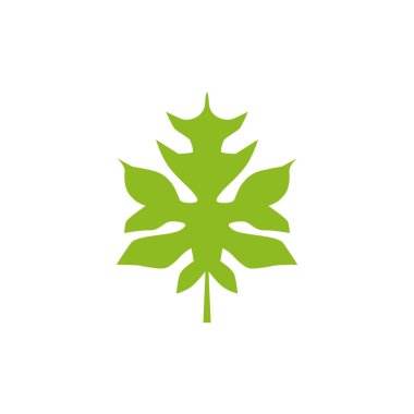 Papaya yaprağı logo tasarım vektör şablonu