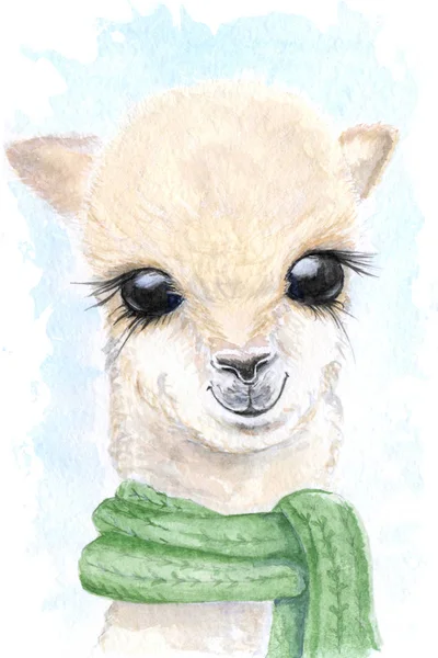 Watercolor Alpaca Green Scarf Stock Picture