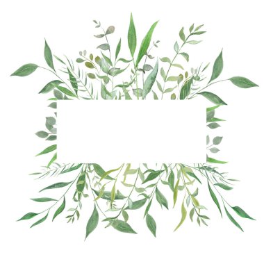 Suluboya çizimi. Yapraklı botanik etiketi. Bitkisel. Çiçek tasarım elementleri. Düğün davetiyeleri, tebrik kartları, bloglar, posterler ve daha fazlası için mükemmel.