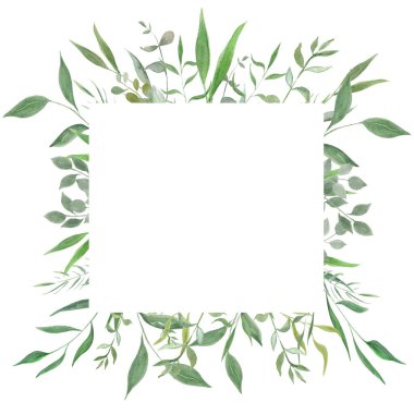 Suluboya çizimi. Yapraklı botanik etiketi. Bitkisel. Çiçek tasarım elementleri. Düğün davetiyeleri, tebrik kartları, bloglar, posterler ve daha fazlası için mükemmel.