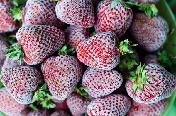 Gefrorene Erdbeeren in Nahaufnahme mit Raureif bedeckt. Makro. Draufsicht. Horizontale Orientierung. — Stockfoto