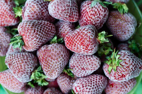 Tiefgefrorene Erdbeeren, die vom Frost bedeckt sind, aus nächster Nähe betrachten. Draufsicht. Horizontale Orientierung. — Stockfoto
