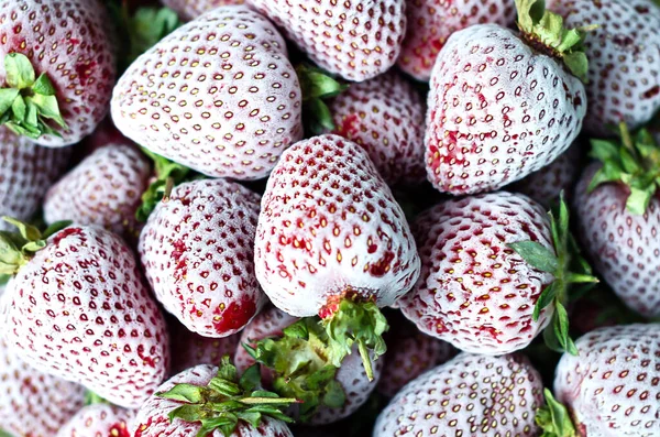 Gefrorene Erdbeeren mit weißem Reif bedeckt. Nahaufnahme, Draufsicht. Makro. — Stockfoto
