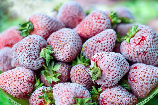 Gefrorene Erdbeeren mit Raureif auf einem Teller. Nahaufnahme, Seitenansicht — Stockfoto
