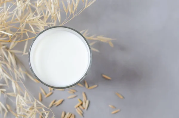 Bicchiere di latte d'avena su sfondo grigio. Piatto. Copia spazio — Foto Stock