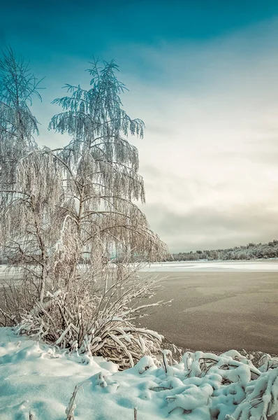 Kış Manzarası Ağaçlarıyla Kaplı Hoarfrost Donmuş Göl Manzaralı — Stok fotoğraf