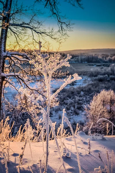 Winterlandschaft Mit Schönem Sonnenaufgang Wald — Stockfoto