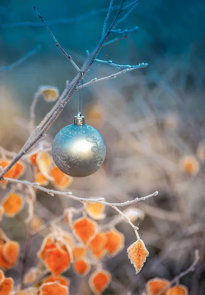 Palla Natale Appesa Ramo Betulla Nella Foresta Invernale — Foto Stock