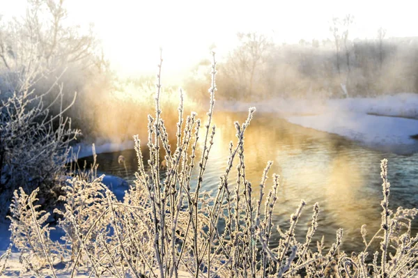 Paisagem Ensolarada Inverno Com Rio Floresta — Fotografia de Stock