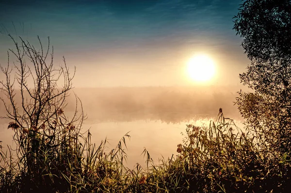 Incrível Paisagem Matinal Mística Com Sol Nascente Árvore Junco Nevoeiro — Fotografia de Stock