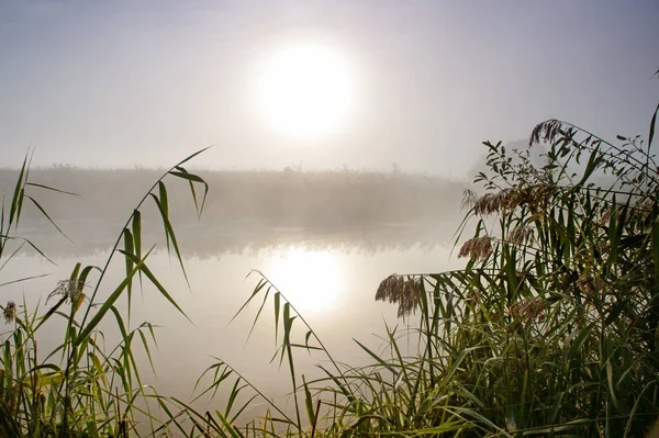 日出日落 水雾的戏剧性的神秘暮色风景 — 图库照片