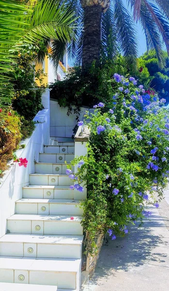 İspanya 'da beyaz merdivenler, çiçeklerle ve tırmanma bitkileriyle kaplanmış. Büyüleyici Akdeniz sahnesi İspanyol mimarisi ve doğasının canlı renklerini ve kırsal zarafetini yakalıyor..