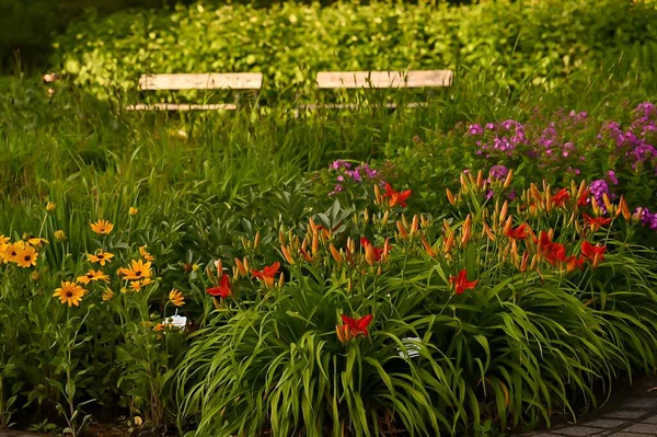 Botanik bahçesinde çiçek açan renkli yaz çiçekleri, canlı çiçekler ve yemyeşil çiçekler sergiliyor..
