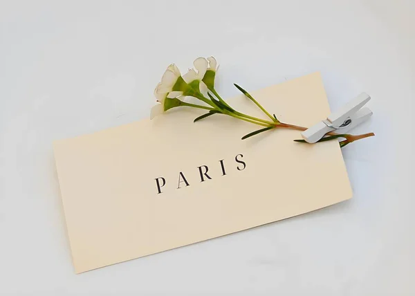 Küçük bir şarjör kullanarak üzerine küçük bir çiçek iliştirilmiş beyaz bir arkaplana yerleştirilmiş küçük bir sanat eseri. Eserde PARIS kelimesi geçiyor, hassas ve minimalist bir kompozisyon oluşturuyor..