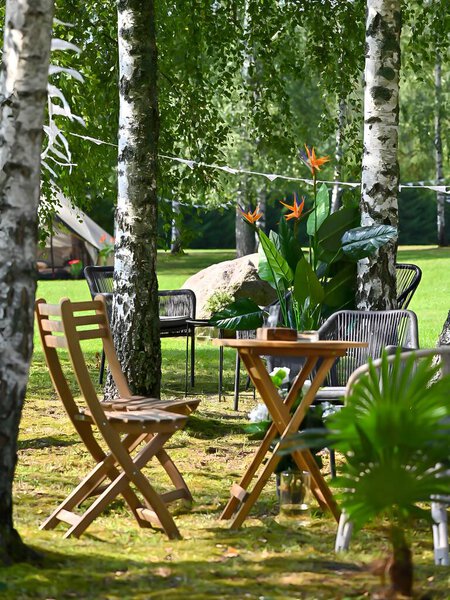 Photograph taken with a mobile phone and edited in Lightroom, showing a summer recreation area arranged in a birch grove. Captured in natural light with authentic details of the trees and peaceful outdoor atmosphere.