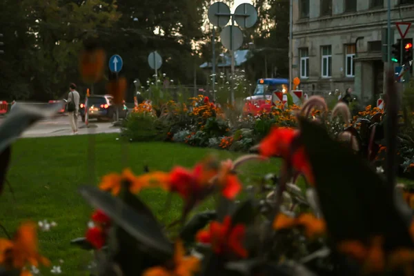 Renkli çiçek yataklarının şehri süslediği canlı bir şehir manzarası. Parlak çiçekler modern mimariye zıtlık ve güzellik getirir, doğa ve şehir hayatının uyumlu bir karışımını yaratır..