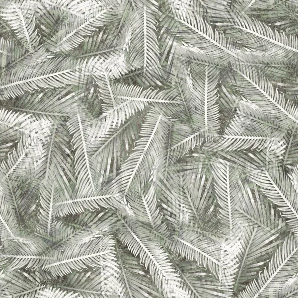 Palmeira tropical neutra deixa padrão sem costura — Fotografia de Stock