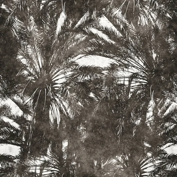 Neutrale tropische palmboom bladeren naadloos patroon — Stockfoto