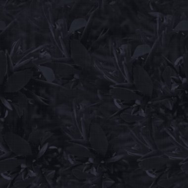 Kara karamsar, neredeyse kara yaprak gibi.