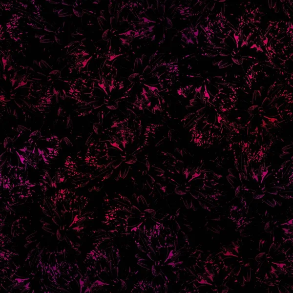 Ночь в Майами тропическая черная листва на закате размыта — стоковое фото