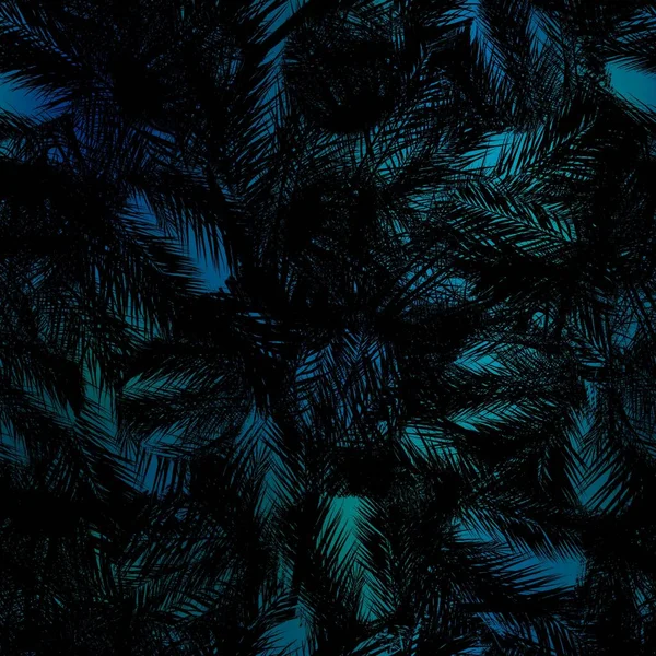 Miami nuit tropical noir feuillage sur le flou du coucher du soleil — Photo