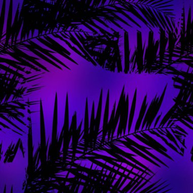 Miami gece tropikal siyah yapraklar gün batımı bulanıklığında