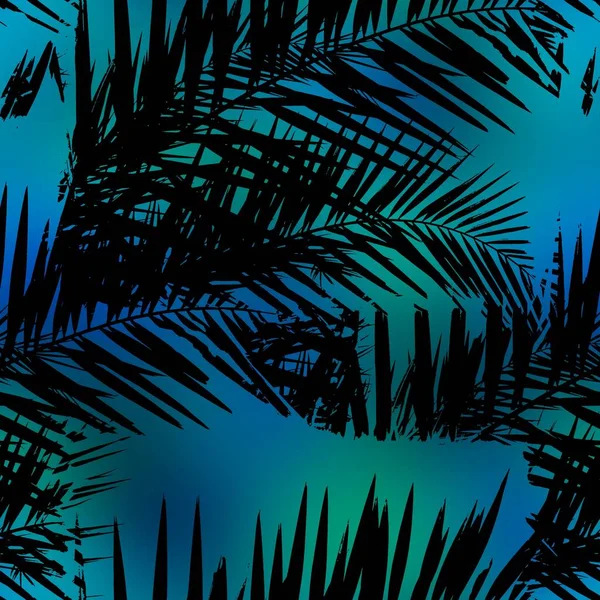 Miami night tropical black foliage on sunset blur — Stock Photo, Image