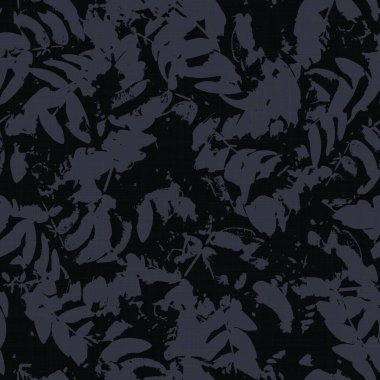 Kara karamsar, neredeyse kara yaprak gibi.